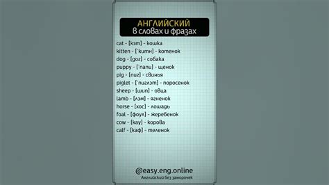 Расширение лексического запаса в английском языке