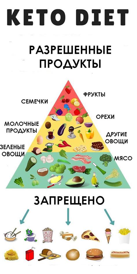 Рациональное включение кабачков в питание на основе кето-диеты