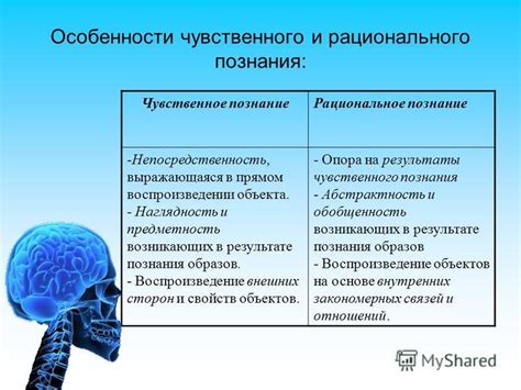 Рациональное познание: особенности и применение