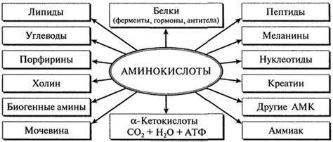 Рациональное потребление каркаде при симптоматике диареи