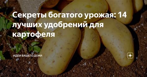 Рациональное распределение картофельного урожая по емкостям для предотвращения гниения