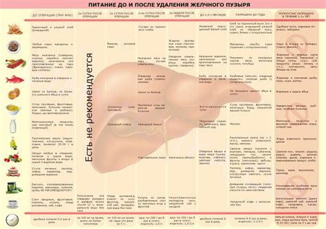 Рацион диеты для поддержания оптимального веса после удаления желчного пузыря