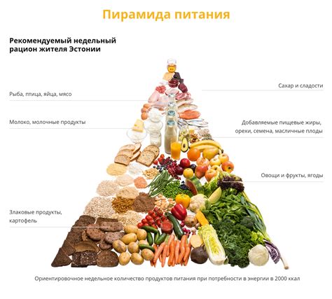 Рацион для контроля роста плода: ценные продукты для включения в питание