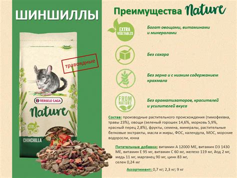 Рацион для шиншиллы: потребности и правила
