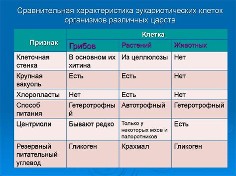 Рацион питания пангасиуса: выбор между растительной и животной пищей