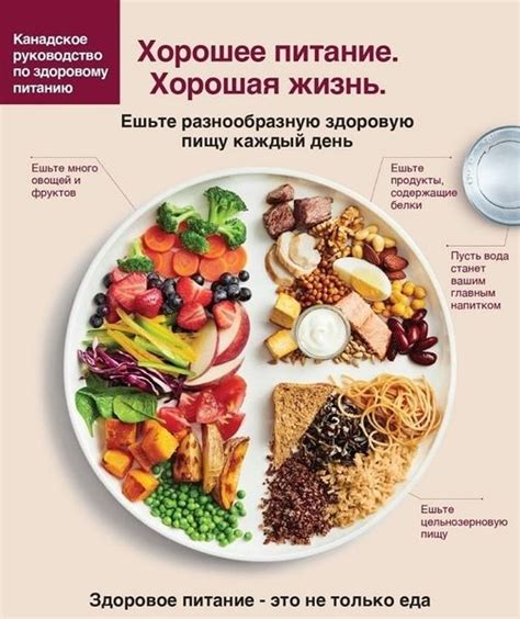 Рацион питания при увеличении веса: как правильно выбрать продукты