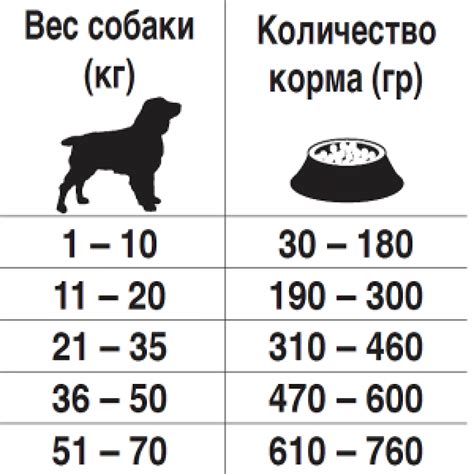 Рацион собаки: правила дозировки и способы введения новых ингредиентов