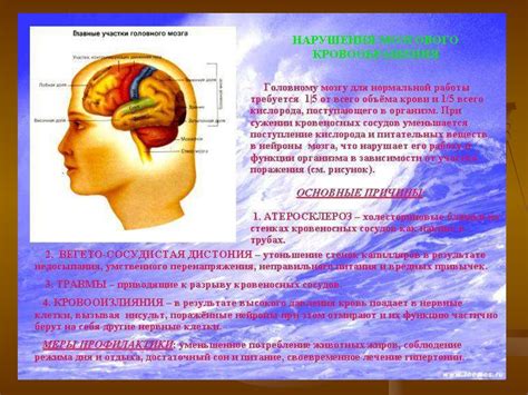 Реакция нервной системы на холод