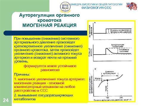 Реакция организма и особенности кровотока