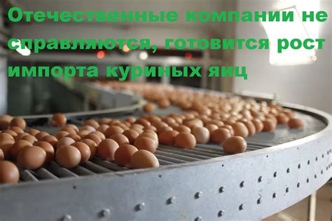 Реакция современных большинства на продукцию Караморы