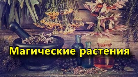 Реальность духов, обладающих феромоноподобными свойствами