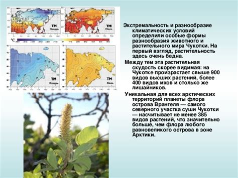 Региональная уникальность: от непростых климатических условий до изобилия растительного мира