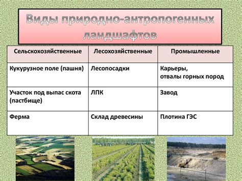 Регионы Македонии: многообразие природных ландшафтов и их значимость для туризма