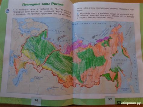 Регионы России с наибольшим объемом выращивания элитного бобового растения