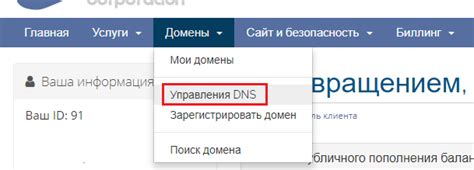 Регистрация домена и привязка к DNS серверу