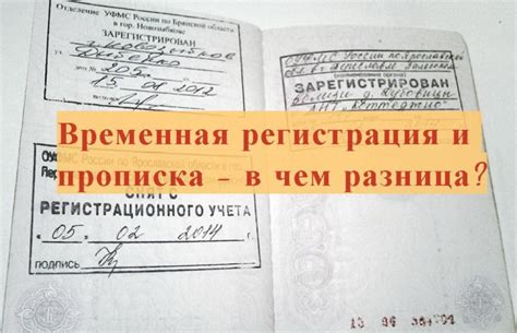 Регистрация и анализ содержания документов о проживании в населенном пункте Малаховка