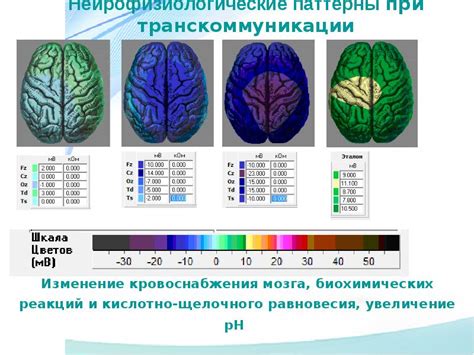 Регистрация на исследование мозговой активности в столице Татарстана