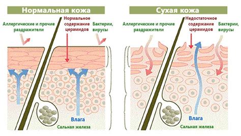 Регулирование кислотно-щелочного баланса кожи с помощью тонера