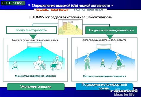 Регулирование температуры организма: поддержание комфортной среды