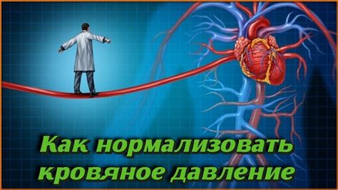 Регулирует кровяное давление и сердечную деятельность