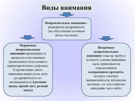 Регулярность общения и степень внимания