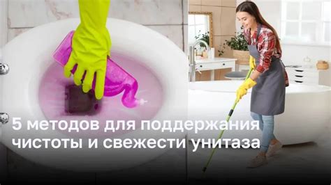 Регулярный уход и гигиена для поддержания свежести в доме