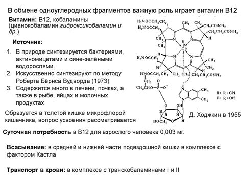 Регуляция обмена аминокислот при употреблении витаминов В12