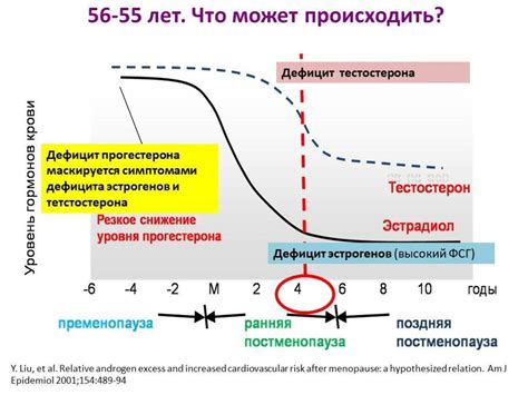 Регуляция уровня тестостерона