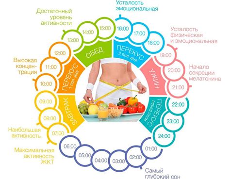 Режим дня, питание и реабилитационные методы