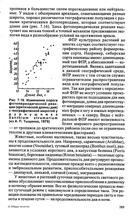 Результативное рассмотрение светового режима