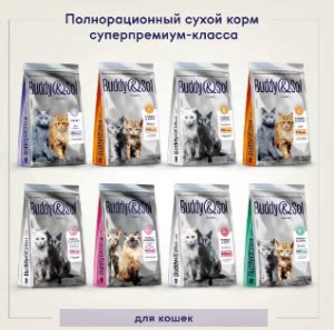 Результаты исследования: Воздействие специального питания на оптимальное состояние кошек
