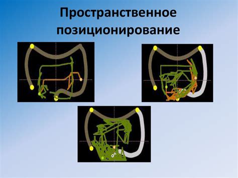 Результаты и обработка данных капсульной эндоскопии