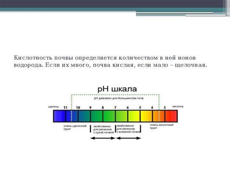 Результаты научных исследований: влияние кислотной составляющей на аромат грибов