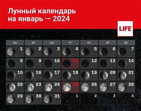 Результаты современных исследований вопроса о влиянии фаз луны на свойства растений