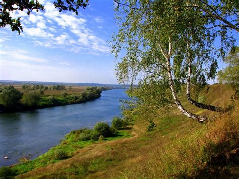 Река Ока - насыщенная добычей сома и карпа