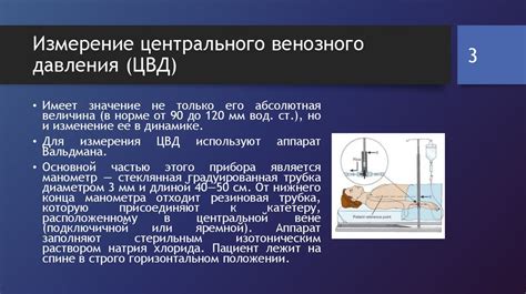 Рекомендации по использованию валерьянки при нарушении сердечно-сосудистой системы