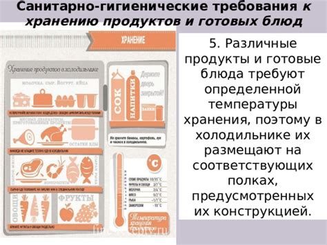 Рекомендации по подаче и хранению блюда из размолотых продуктов для пациентов, следующих диете 5