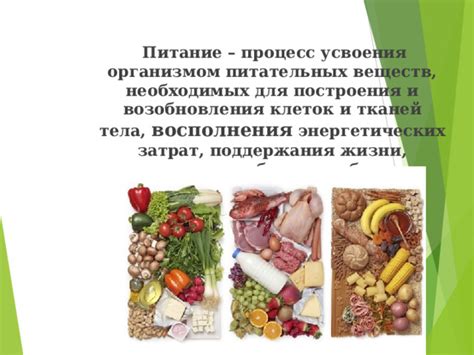 Рекомендации по сочетанию питательных веществ для максимальной усваиваемости организмом