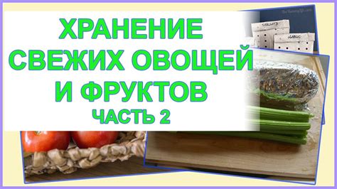 Рекомендации по хранению свежих и ароматных овощей