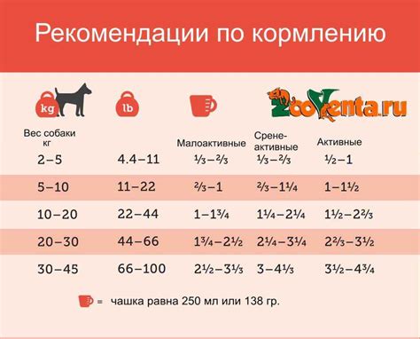 Рекомендуемый объем пищи и частота кормления