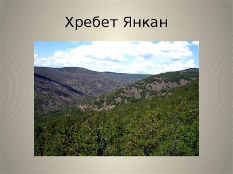 Рельеф Амурской области: горные вершины, безбрежные равнины и могучие реки