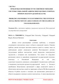 Рефлексия и возможные пути совершенствования избирательной системы в РФ