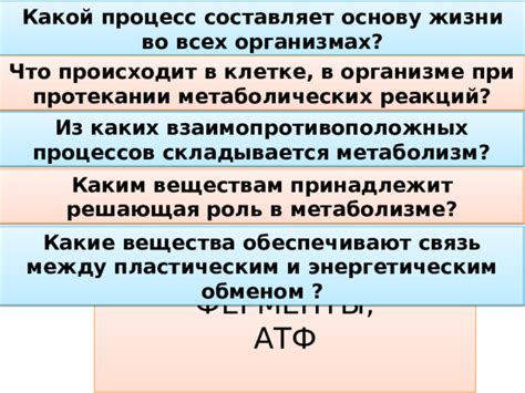 Решение между возвратом и обменом товара при покупке электронных часов