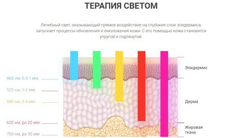 Рикотта в косметологии и медицине: нетрадиционные способы использования