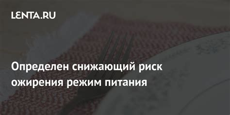 Риск ожирения и связанных с ним проблем при использовании хлеба и макарон в рационе питания собаки