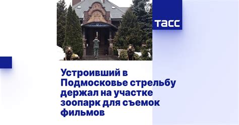 Родственные места: выбранные локации в Подмосковье для съемок фильмов с талантливой актрисой