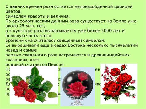 Роза в культуре давних цивилизаций