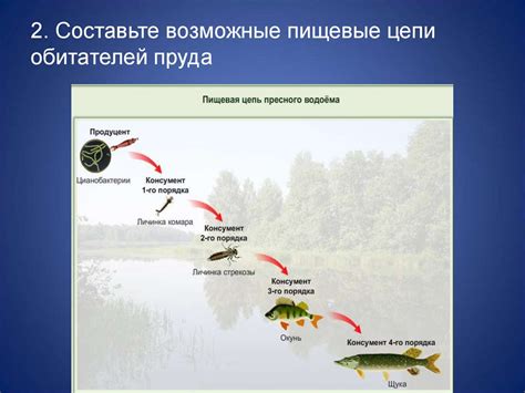 Роли беляков в экосистеме лесного сообщества