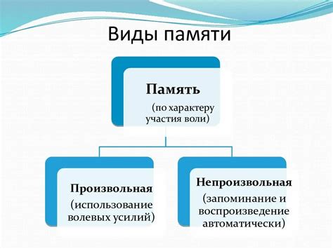 Роли внутренней памяти у человека: от запоминания и распознавания до обучения и принятия решений