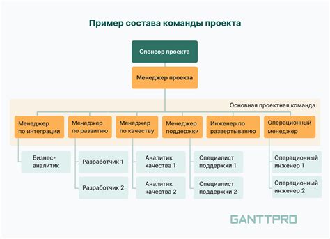 Роли и функции в составе команды проекта